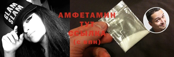 прущий лед Алзамай