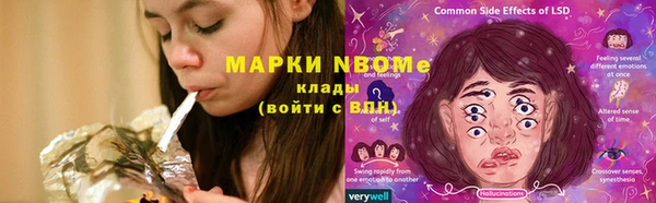 ПСИЛОЦИБИНОВЫЕ ГРИБЫ Алексин